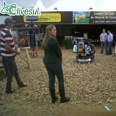 FEAGRO 2013