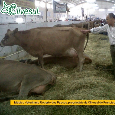 FEAGRO 2013