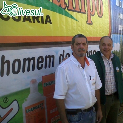 FEAGRO 2013