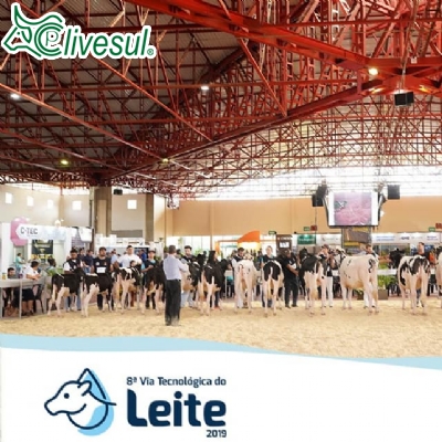 8 Via Tecnolgica do Leite 2019