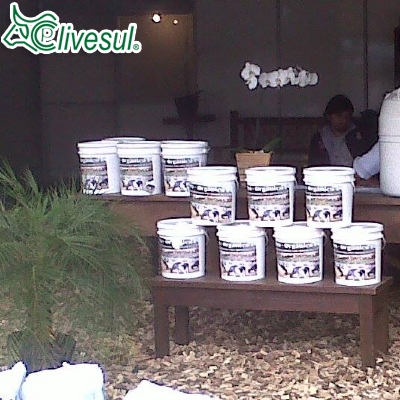 FEAGRO 2013